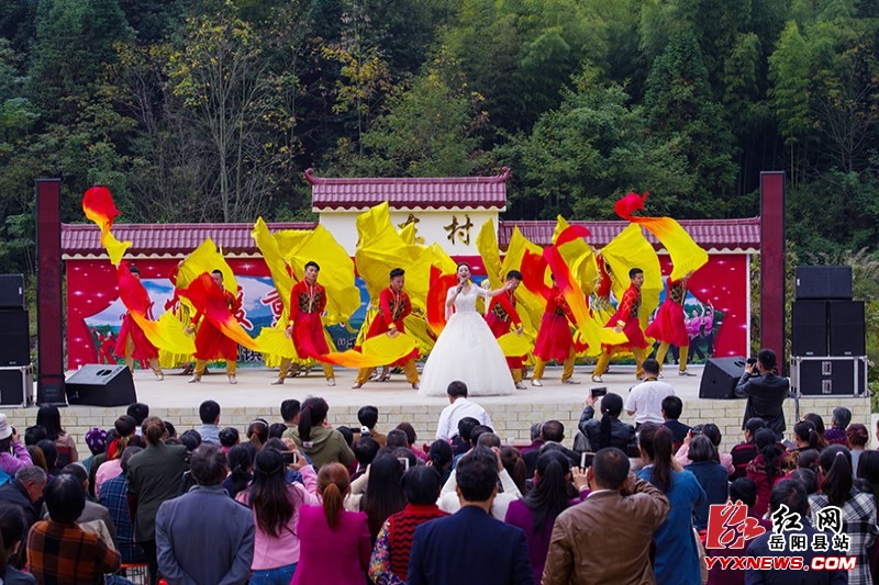 �¶��壺�ž������� �·�����Ұ