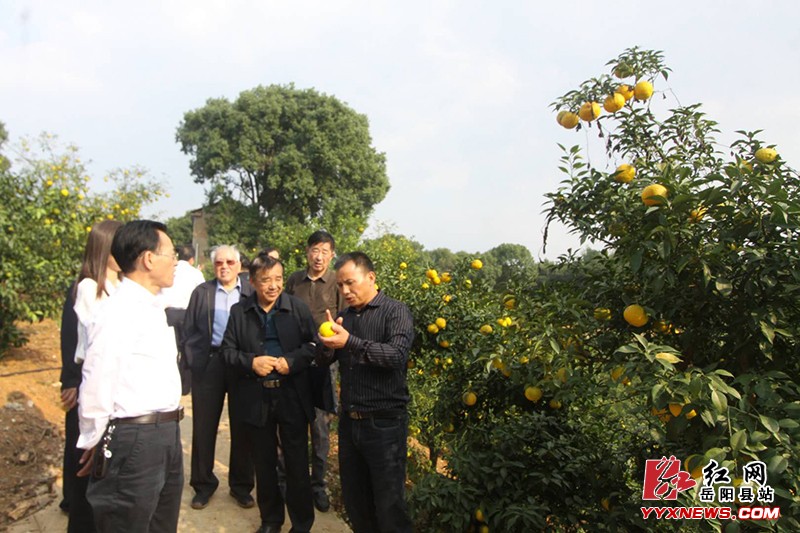 ʡ�Ͽ�Э�������ж���������ؾ���