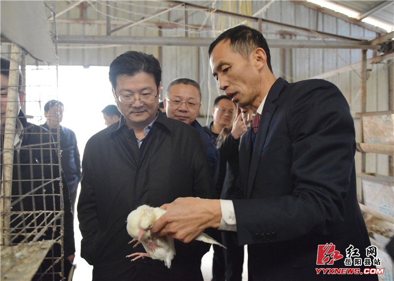 �°��������ص��о�׼��ƶ�ȹ���