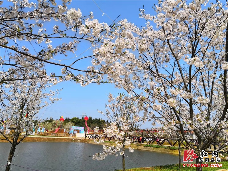 ������ͬ�� ӣ��������ڶ���ӣ�������Ļ��ڿ�Ļ