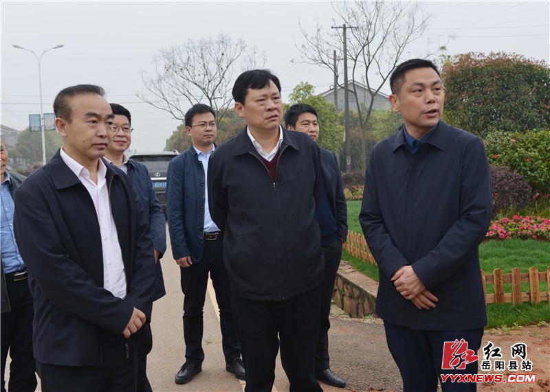 ̸���춽��G240�����˾ӻ������ι���