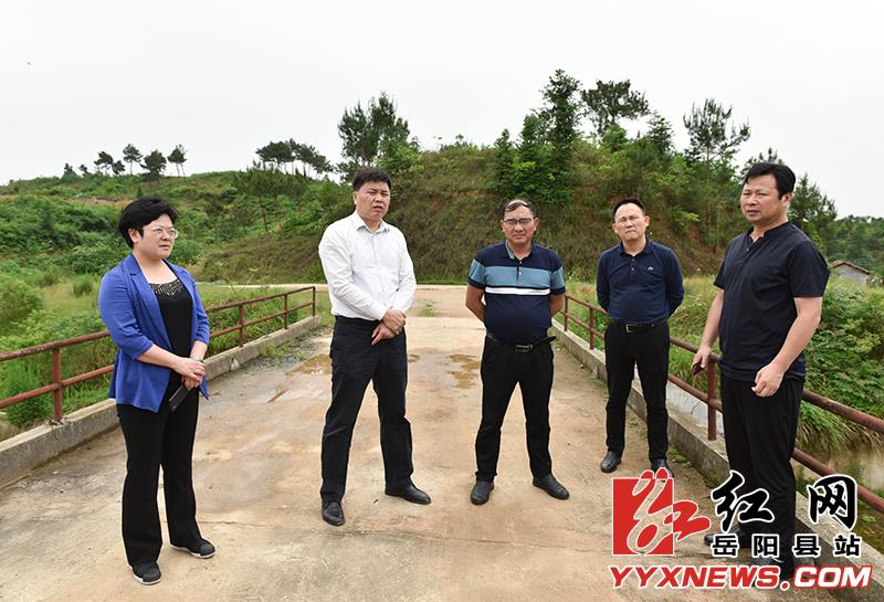 曾平原查看花山水库溢洪道情况