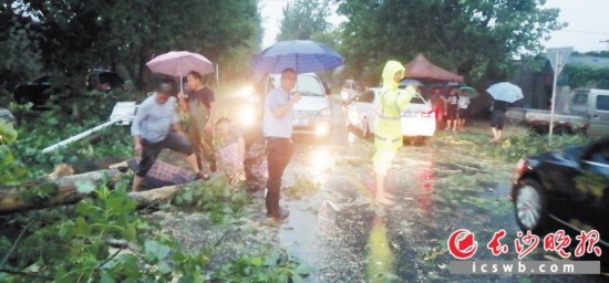 �������������ͷ�򣬵�������������֯��·���ϡ�������ɳ����ͨѶԱ ���� ��