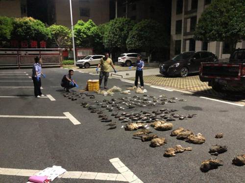 467b4f9c94c8b4be1aab71131691610