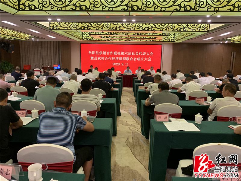 会议现场 (1)_副本.jpg 会议现场 (1)_副本.jpg