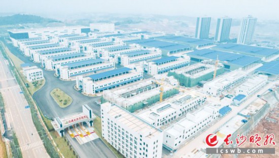 ��������ȫ��ũ������һ���ѻ�����ɽ��裬����1�½���ҵ��������ɳ����ͨѶԱ ���鲨 ��