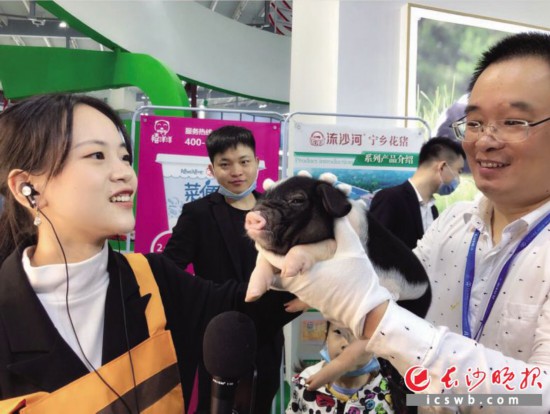 ��ɳ��С���������������α������ʹ�������һ�𣬿��������ȴ���ģʽ������Ϊ��ɳ����ȫý����� �ܻ�ϼ �ﴺ�� ��Ӱ����