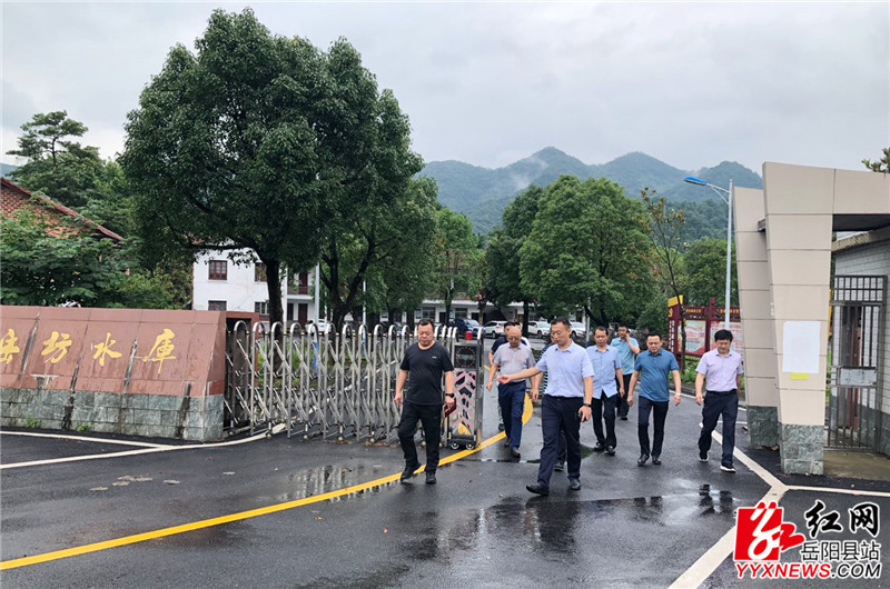 张奕 (3).jpg 张奕 (3).jpg