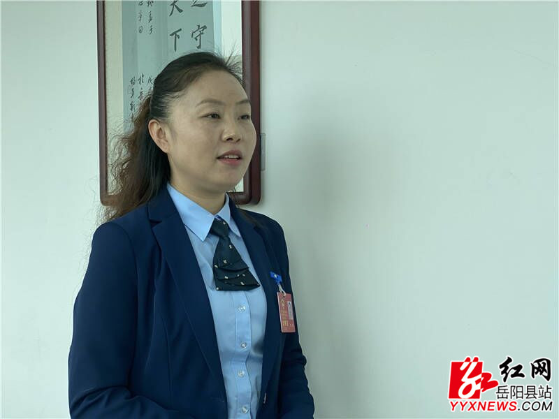 代表委员分团分组审议讨论政府工作报告