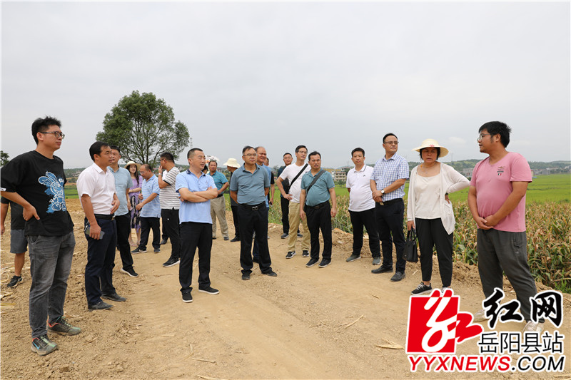 微信图片_20220801082848.jpg 微信图片_20220801082848.jpg