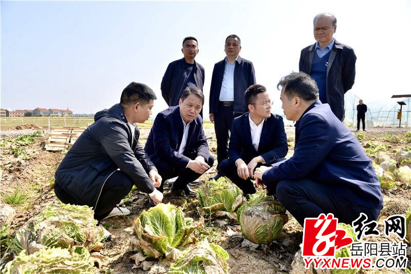 VWZ5APRZ$RIRTJ$XH4}ADJP.jpg VWZ5APRZ$RIRTJ$XH4}ADJP.jpg