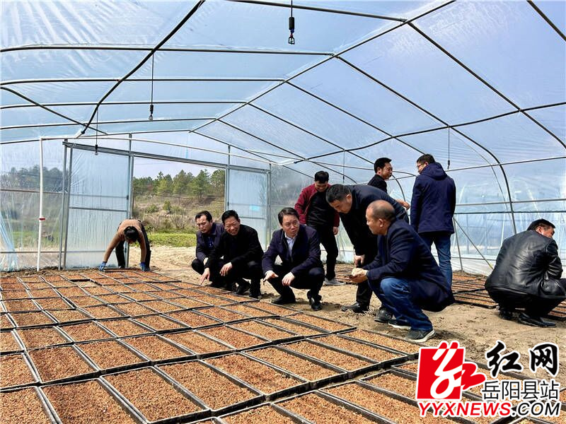 BC4AE3FAE37F72F1B20177EE26C28274_750_750.jpg BC4AE3FAE37F72F1B20177EE26C28274_750_750.jpg