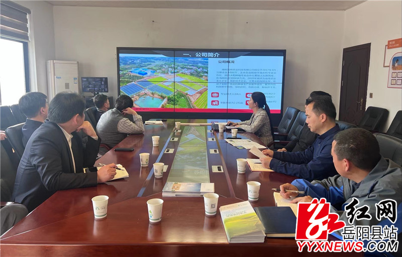 ������ (1).jpg