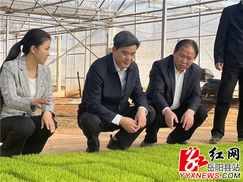 ������ (3).jpg