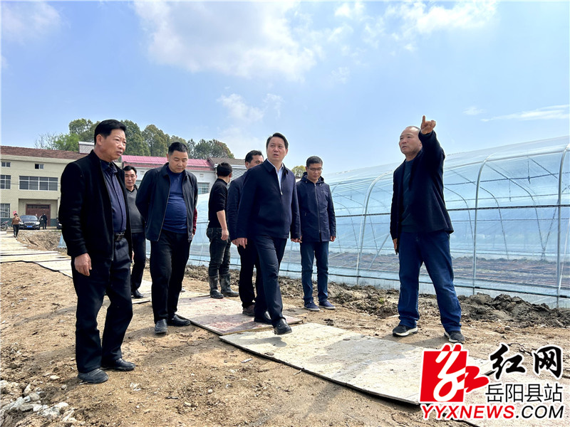 吴光文实地查看公田镇甘田村新建大棚育秧点督导集中育秧工作1.jpg 吴光文实地查看公田镇甘田村新建大棚育秧点督导集中育秧工作1.jpg