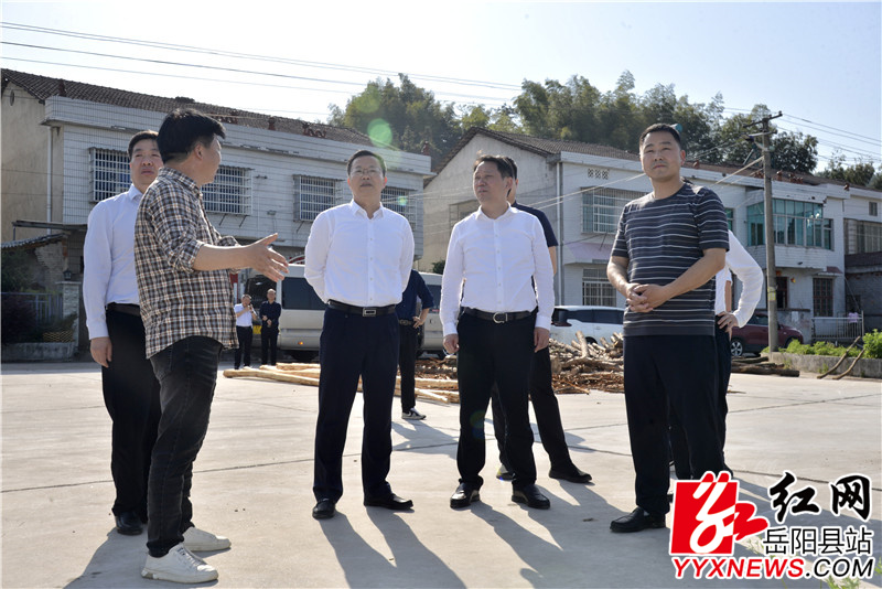 陈阁辉深入公田镇大塅村了解粮食生产情况1.jpg 陈阁辉深入公田镇大塅村了解粮食生产情况1.jpg