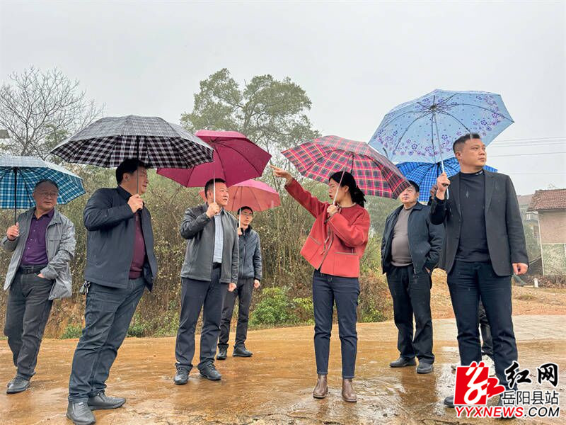 李樱到新开镇督导粮食生产工作