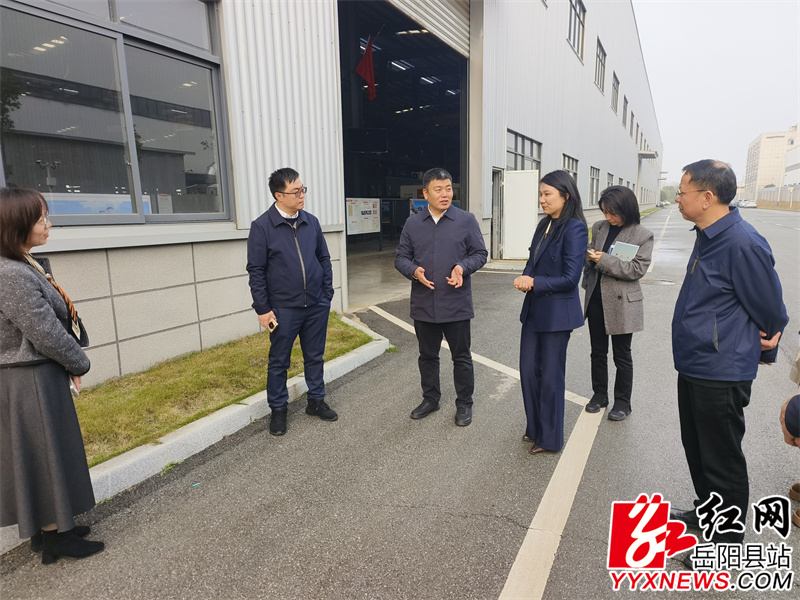 IMG_20260324_172738_proc.jpg IMG_20260324_172738_proc.jpg